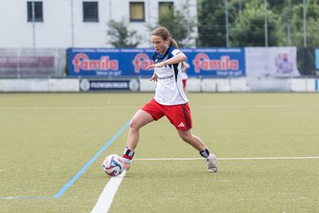Bild 159 - wBJ Hamburger SV - FC Suederelbe : Ergebnis: 9:0